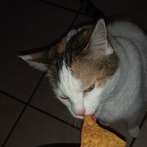 Meet your Posher, Olive